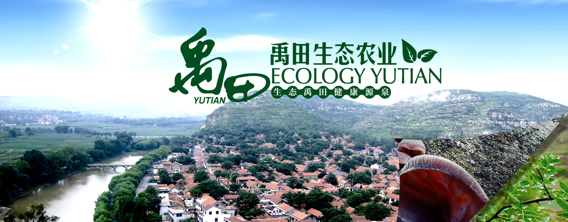 濟寧泰銘重工機械有限公司